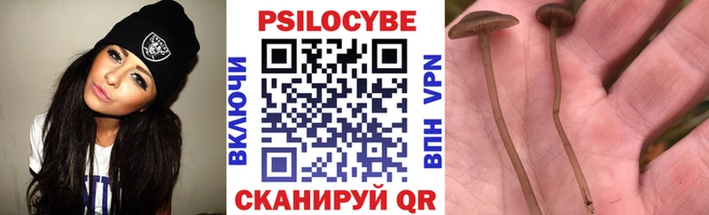 Купить где  Коряжма  Галлюциногенные грибы мицелий 